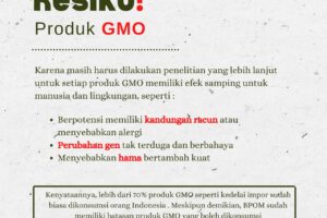 Apa Itu Produk Makanan GMO? Bahayakah?