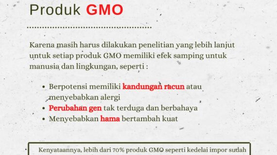 Apa Itu Produk Makanan GMO? Bahayakah?