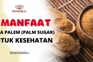 4 Manfaat Gula Palem (palm sugar) Untuk Kesehatan